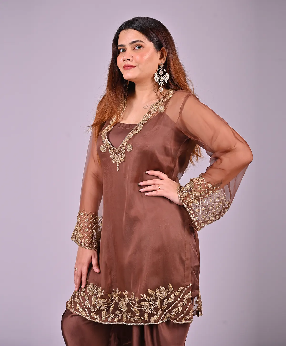 Brown Hand Embroidered Organza and Satin Silk Suit